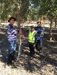 Pangolin Associates field work in Western Australia