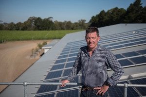 Solar panels at Ross Hill Wines, a NCOS accredited organisation