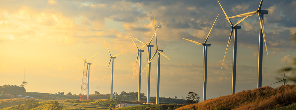 Carbon neutrality accelerates in Australian organisations (wind turbines, renewable energy)