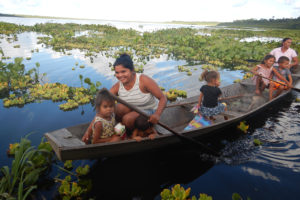 Photo: Pacajai Brazil REDD+ Project - protecting the biodiversity of Amazon rainforest