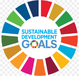 United Nations Sustainability Development Goals (SDGs)