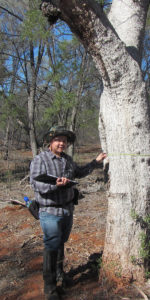 Pangolin Associates forestry project: auditor Dr Sam Phua