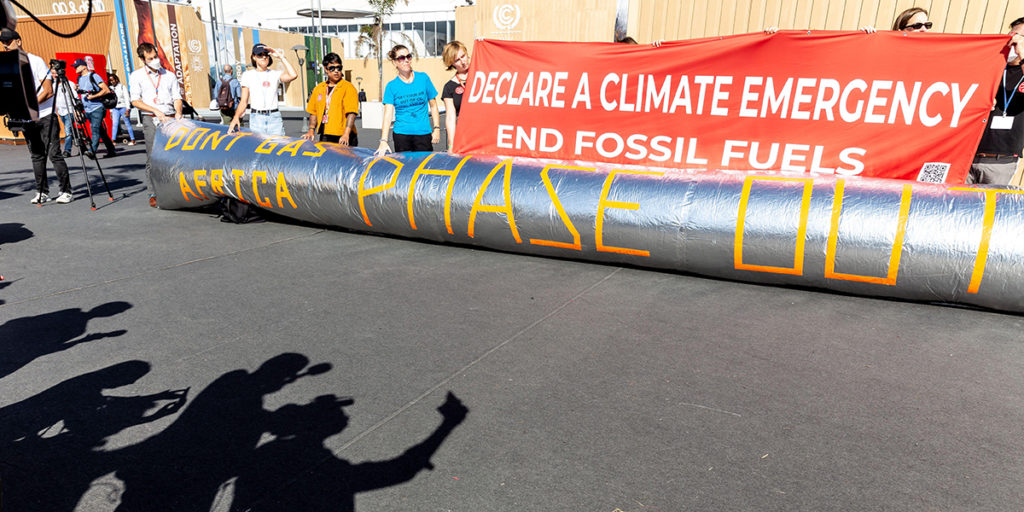 Activists at the UN COP27 climate summit in Sharm el-Sheikh, Egypt ...