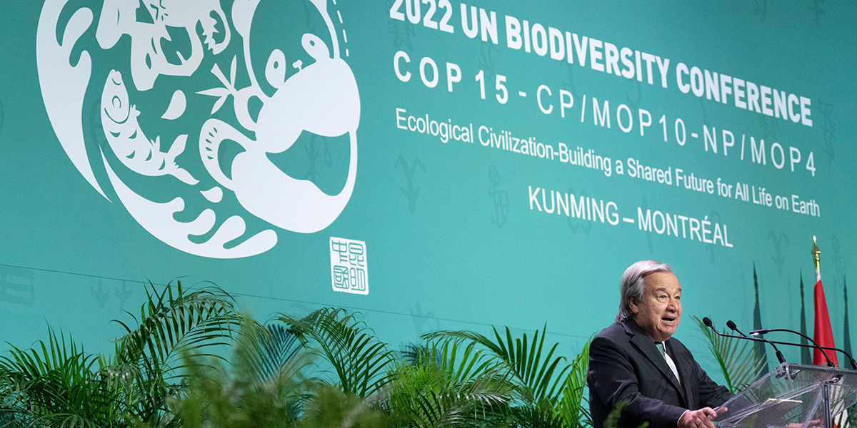 Secretary-General of the United Nations Antonio Guterres at the opening of the COP15 UN Biodiversity Conference, Montreal