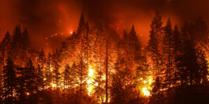 Photo: Catastrophic fires in the Northern Hemisphere