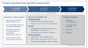 Chart. Pangolin Associates: MCR Services three-stage implementation